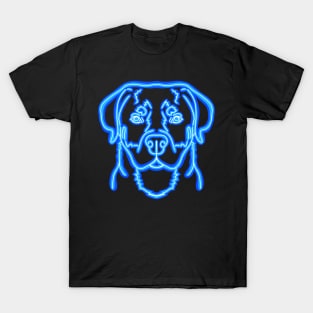 Neon Rottweiler T-Shirt